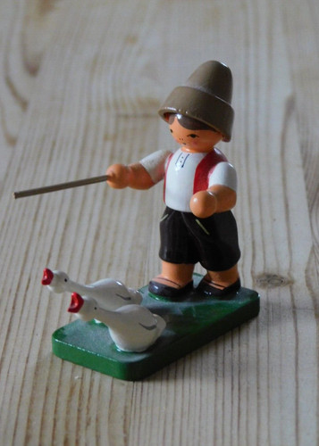 Junge mit gänsen - junge,